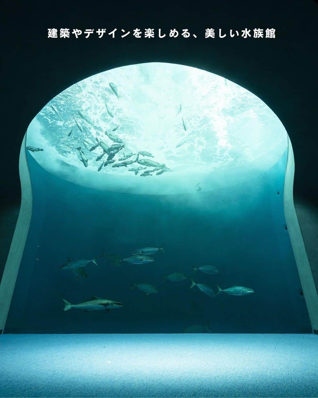 ELLE DECOR JAPANのインスタグラム：「建築やデザインを楽しめる、美しい水族館をご紹介。  1-2...AQUARIUM×ART átoa／兵庫県・神戸市 2021年にオープンしたアクアリウムとアートを融合させた新感覚の水族館。テーマ性の高い展示が楽しめるうえ、館内は思わず撮影したくなるような映えスポットばかり。  3-4...AOAO SAPPORO／北海道・札幌市 2023年7月、札幌の中心地にオープン。ペンギンなどの生物展示に加えて、バックヤードの公開やデジタルアートなど、様々なアプローチで水辺の生物の魅力を伝えている。  5-6...四国水族館／香川県・綾歌郡 瀬戸内海を再現した展示スペースや、夕焼けの景色をバックにイルカが泳ぐ絶景など、周囲の自然と融合した四国らしさあふれる空間が楽しめる。  7-8...上越市立水族博物館 うみがたり／新潟県・上越市 2018年にオープン。日本海に面した立地を生かした展示や空間づくりが魅力で、海の生き物を鑑賞しながら、雄大な自然も体験できる大型の水族館。  #水族館 #デジタルアート #AQUARIUMARTátoa #AOAOSAPPORO  #四国水族館 #上越市立水族博物館うみがたり #AQUARIUM #美しい建築 #建築好き #水族館巡り #水族館フォト #お出かけスポット」