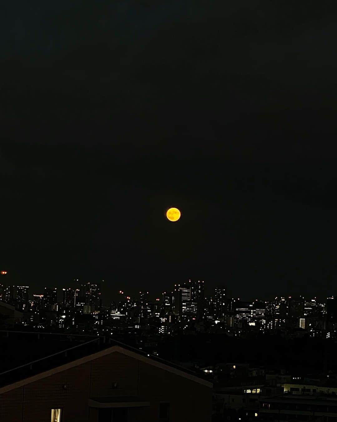 のインスタグラム：「. いつかのまんまるお月様🌕 横にするとうさぎが犬を撫でてるように見えるのは 私だけでしょうか🥹#どう言う状況」