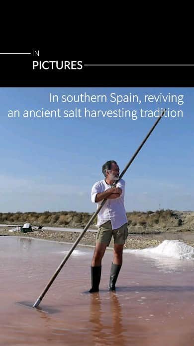 AFP通信のインスタグラム：「In southern Spain, reviving an ancient salt harvesting tradition  📷 @cristinaquicler #AFP」