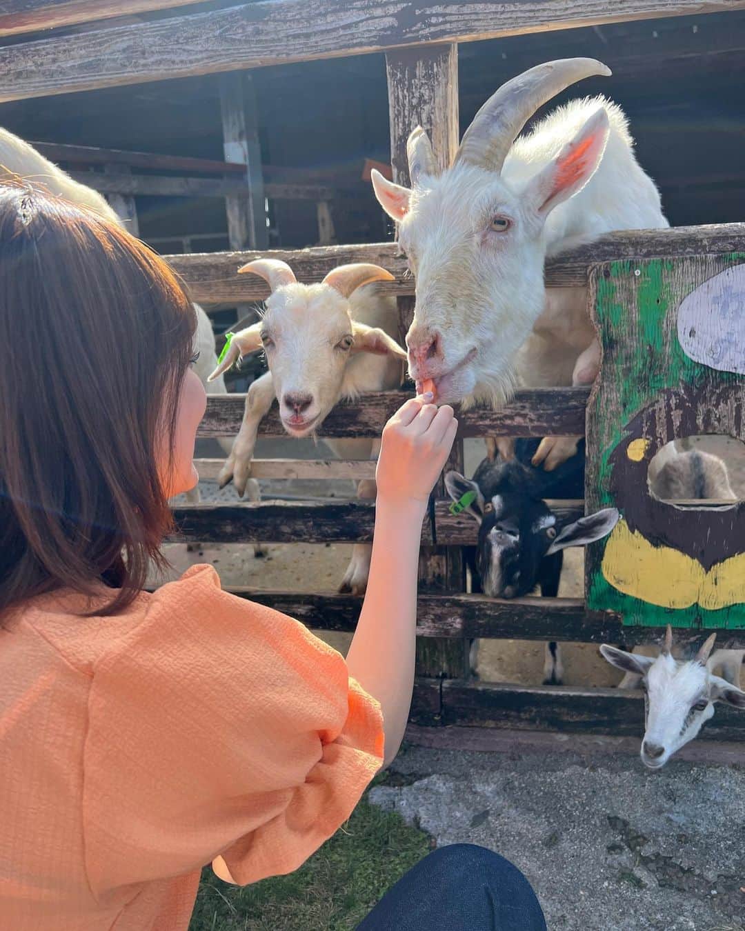 福山絢水さんのインスタグラム写真 - (福山絢水Instagram)「少しだけ熊本に帰ってました🐻‍❄️🖤  動物と自然で癒された~ 良いとこだ~」10月12日 19時40分 - aya__m02