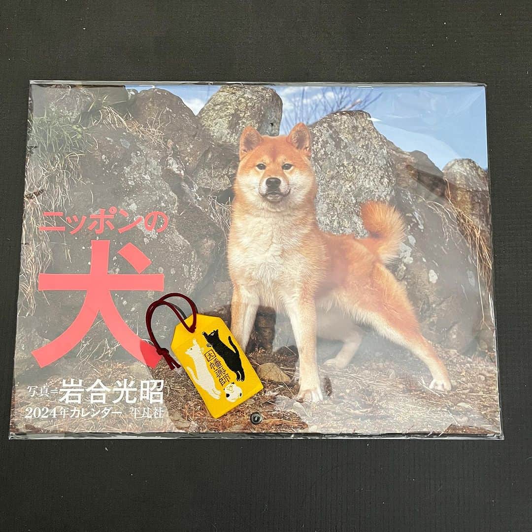 内澤旬子のインスタグラム：「超絶可愛いいただきものを２つ、落手いたしました。ありがとうございます。  柴犬飼いたいけど、さすがに無理ですな。。。そして猫の無病守、外出猫の寅雄はどうしても病気にかかりやすいと思うので心強いです。すこしでも長く寅雄と一緒にいたい気持ちと自由にさせたい気持ちとの間にぶら下げるとします。」