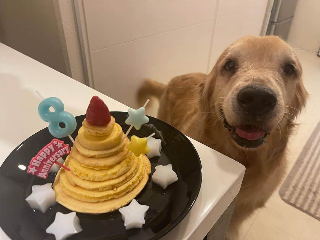 鈴井貴之のインスタグラム：「ネイマールくん 10月3日で8歳。 人間でいえば61歳。もうお爺ちゃん。 あ、飼い主ととうとう同じ歳になり ました。」
