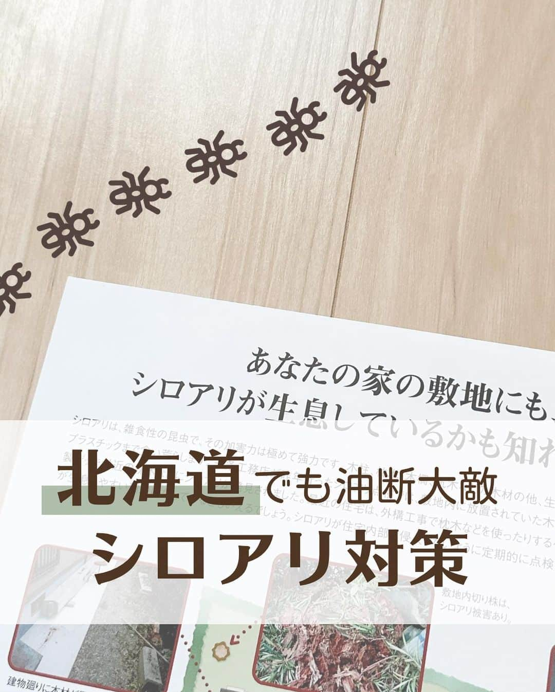 toriismartのインスタグラム：「@toriismart ◂◂◂他の投稿はこちらから  北海道にはシロアリはいないというイメージがありますが、残念ながら北海道にもシロアリはいます😥  「北海道にはシロアリがいない」と思っている方が多いので、対策していない家も多く、被害に遭っても気づいていない家も多いのではないかと思います。  シロアリが生息しやすい土地というのがあるらしく、ここでは書きませんが、実際に被害が出ている具体的な場所も聞きました。  実際本州よりは被害が少ないのかもしれませんが、シロアリがいないわけではないです。  2018年の北海道胆振東部地震でも、倒壊した家屋の一部からシロアリの被害が確認されたそうです。  ですので、少なくとも現時点で生息エリアに入っている場所でノーガードで建てるのは怖いなーと思います。  生息エリア外の場合は悩ましいですけどね😭  境界に近い場合はやはり対策しておいた方がいいような気はします。  ﾟ＊.｡.＊ﾟ＊.｡.＊ﾟ＊.｡.＊ﾟ＊.｡.＊ﾟ  ご覧いただきありがとうございます😊  ＊一条工務店10年目の暮らし ＊夏涼しく＆冬温かく過ごすコツ ＊快適な家づくりのためのヒント  について投稿していきます。  フォローはこちらから✨ @toriismart  ————— #一条工務店 #アイスマート #ismart  #住宅メンテナンス #住宅メンテナンス費用 #マイホームメンテナンス #シロアリ #シロアリ対策 #シロアリ予防 #シロアリ予防工事 #防蟻対策 #防蟻処理 #北海道の家 #北海道の家づくり #注文住宅北海道 #北海道で建てる注文住宅」