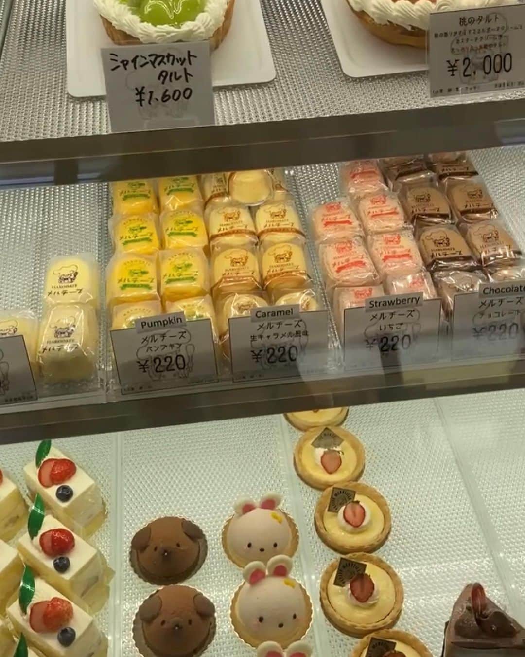 佐藤ミキさんのインスタグラム写真 - (佐藤ミキInstagram)「【プティ・メルヴィーユ】 📍函館駅から徒歩1分( #函館)  ひとくちスフレケーキ｢メルチーズ｣でお馴染みのプティ・メルヴィーユ。 店舗には初めて行ってきました🍰 メルチーズセットは色んな商品を少しずつ食べられますよ！ 好みがわかるのでおすすめです✨️   #佐藤ミキ  #北海道  #おすすめ  #ケーキ #プティメルヴィーユ  #プリン  #スフレ  #スフレチーズケーキ」10月12日 20時01分 - satomiki_0929