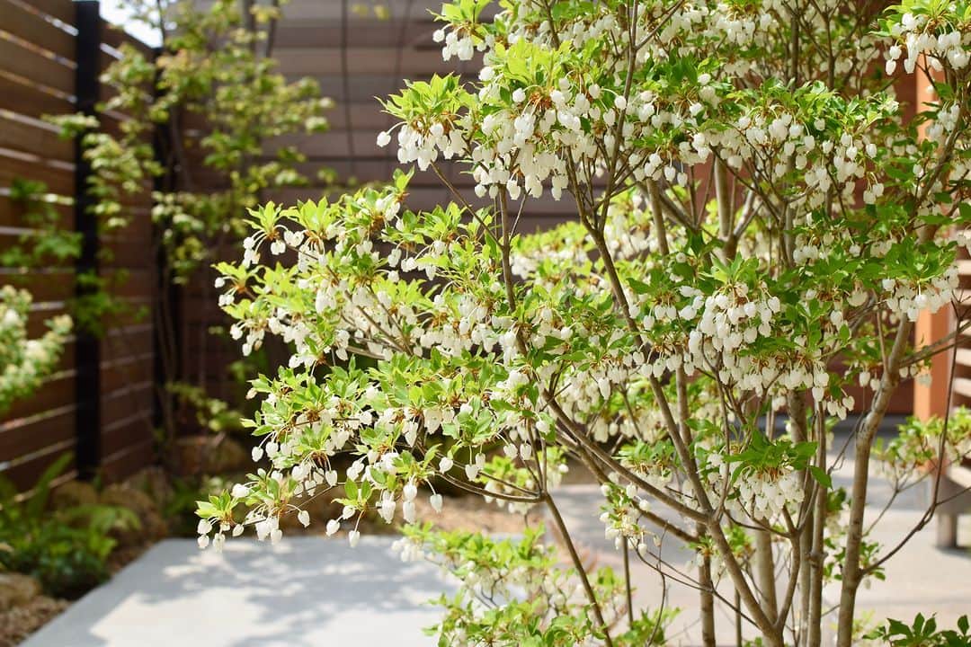 ムクリ［mukuri］さんのインスタグラム写真 - (ムクリ［mukuri］Instagram)「それまでに無かった感情を育ててくれる、四季を感じ楽しみがふえる庭と外構  家を建てることになったとき、 外構や庭については全く頭になく、 木や花にもそれほど興味がなかったteruruさん。  それが外構屋さんに 良い庭を造ってもらったことにより、 新芽を見ると春を感じ、 紅葉すると写真を撮りたくなるように 変化されたそう。  モルタルとタイルを使った オリジナルの門柱を中心にした外構に、 雑木風の植栽がマッチして しっとりとした佇まいになっています。  昼間の木漏れ日や 夜のライトアップなど、 時間帯によって違う魅力があるのも 庭の良いところ。  使用されたタイルや照明、 植栽の詳細についてもお話くださっているので、 ぜひ参考にしてくださいね＾＾  –––––––––––––––––– ムクリ公式アカウントでは くらしの中にある"好き"や"コダワリ"を毎日お届け。  インテリア、整理収納から家づくりなど 日常で参考になる情報から サラッと読める短編コラムまで ご紹介していますのでフォローしてぜひご覧ください。 ▶︎ @mukuri_official ・  「 #ムクリ 」のタグもいつも楽しく拝見しています☺️  オリジナルブランドは @daily_mukuri  くらしの中にあったらいいいな、 そんな商品を企画・制作、集めています。 ––––––––––––––––––  #玄関#外構#エクステリア#門柱#門扉#植栽#フェンス#シンボルツリー#シネマトリコ#モルタル#マイホーム#マイホーム記録#注文住宅#新築#新築一戸建て#おうちづくり#家づくり#工務店#インテリア#interior#自然素材#myhome#緑のある暮らし#お庭#暮らし#暮らしを楽しむ#くらしの編集#ムクリ」10月12日 12時05分 - mukuri_official