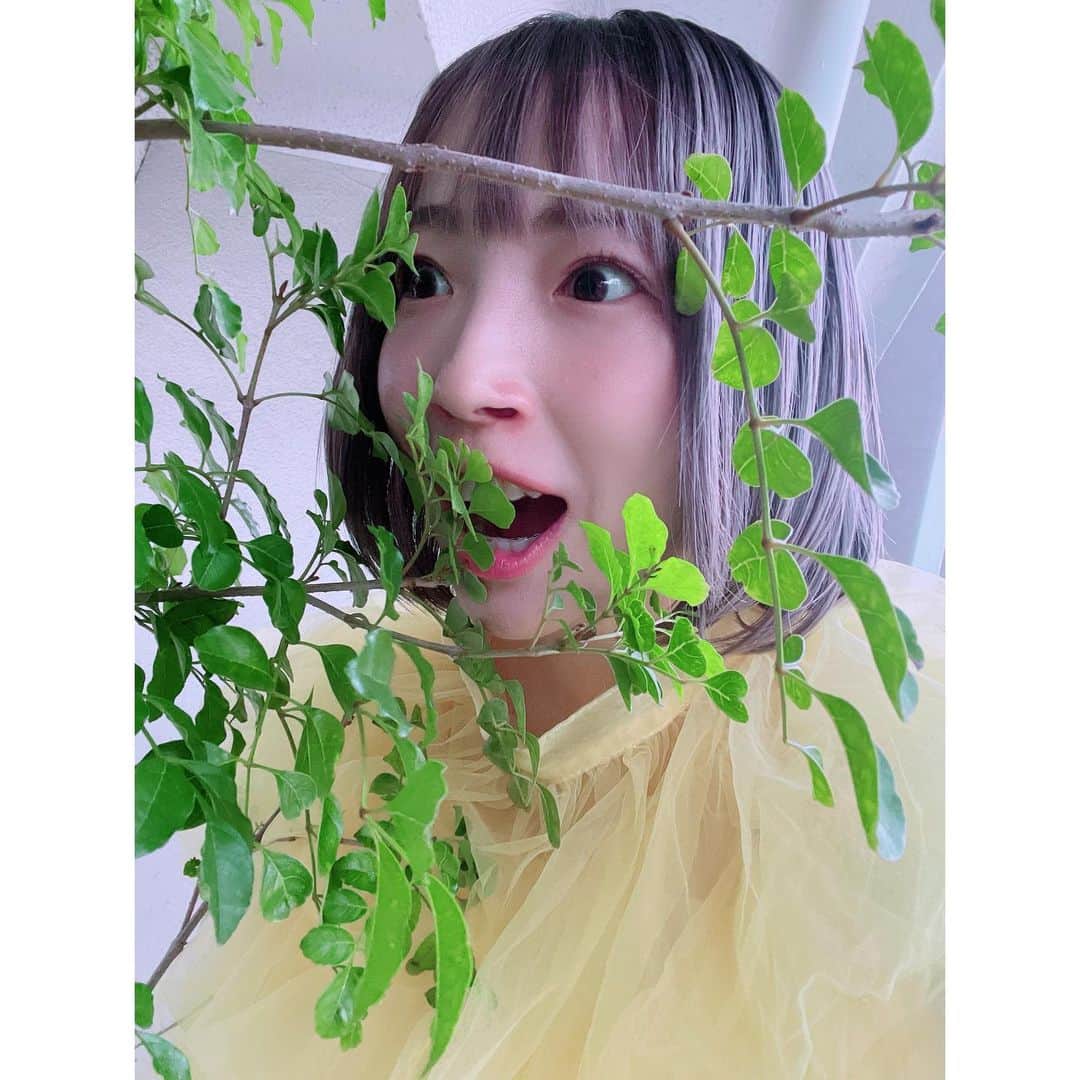 有明ゆなさんのインスタグラム写真 - (有明ゆなInstagram)「森の妖精とは🧚🏻‍♀️ わたしのことかしら？！」10月12日 12時19分 - ariake_yuna