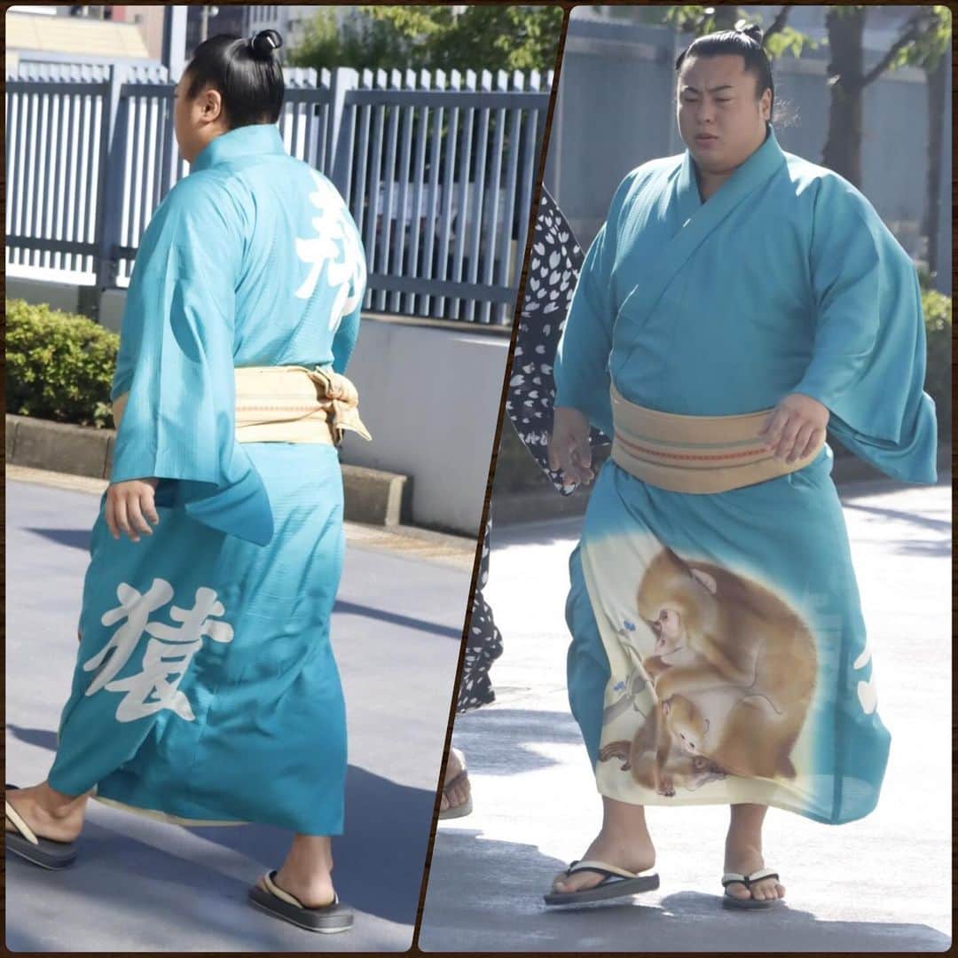 日本相撲協会のインスタグラム：「大相撲九月場所　着物紹介　場所入り　その4  着物で颯爽と歩く姿。 各々のこだわりが詰まった着物。 見ているとたくさんの発見があります。  背中の模様も合わせて、総勢64名分をお届け。 巡業でもたくさんの着物が見られる機会があります。 ぜひチェックしてみてください！  @sumokyokai #sumo #相撲 #和服 #着物 #japan  #翔猿 #玉正鳳 #貴健斗 #隆の勝 #東龍 #千代丸 #正代 #東白龍 #北の若 #琴ノ若」