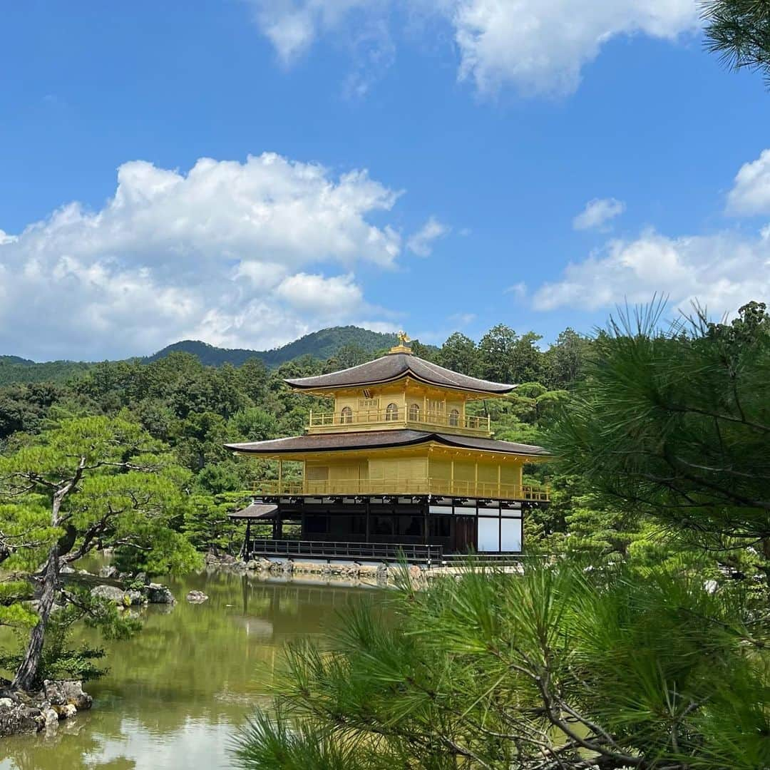 中村水咲さんのインスタグラム写真 - (中村水咲Instagram)「伏見稲荷大社→金閣寺→下鴨神社（みたらし祭）&糺の森→茶寮 宝泉  下鴨神社は行ったとき、ちょうどみたらし祭やってた☺️  更新遅すぎてもう季節変わっちゃった😂  #京都 #kyoto #伏見稲荷大社 #fushimiinaritaisha #千本鳥居 #金閣寺 #kinkakuji #赤の次は金  #下鴨神社 #shimogamojinja #みたらし祭 #糺の森 #tadasunomori #歴史 #世界遺産 #世界文化遺産 #旅行 #休日 #マイペース #みさきてぃ #高身長女子 #ゲーム女子 #グルメ女子 #御朱印巡り #御朱印帳 #スーパーロングヘア #漂亮 #summer」10月12日 13時33分 - misaki_mania