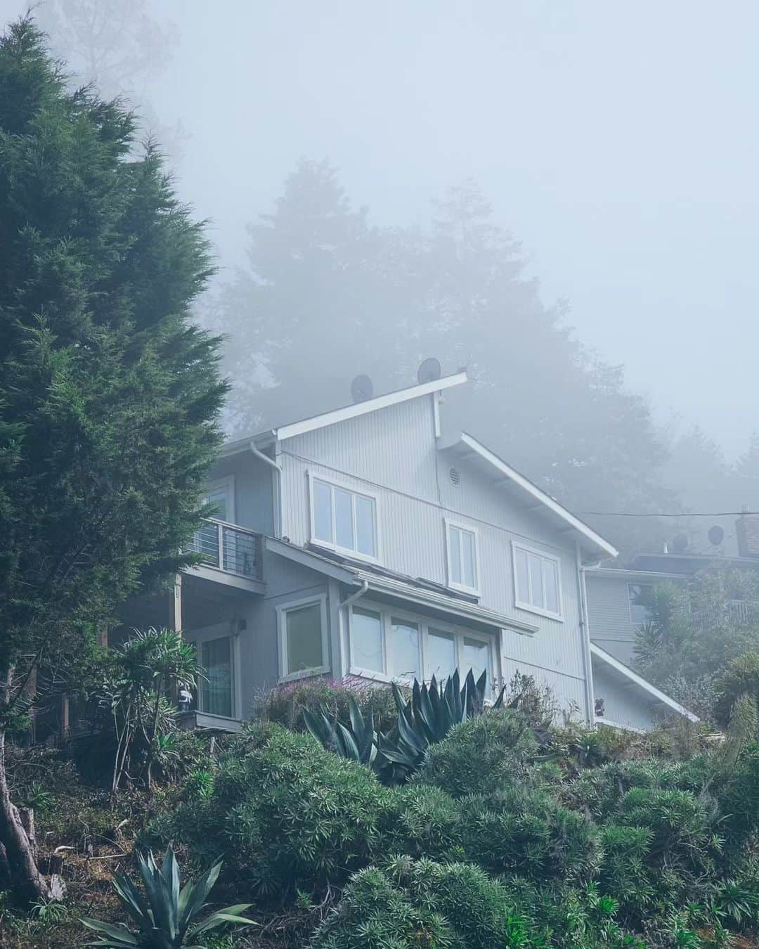 Monika Waleckaさんのインスタグラム写真 - (Monika WaleckaInstagram)「Mgliste obrazki... czyli czemu tu ciągle wracamy i czemu zawsze zostajemy dłużej..  #lostcoasttrail #humboldt」10月12日 14時36分 - monika__walecka