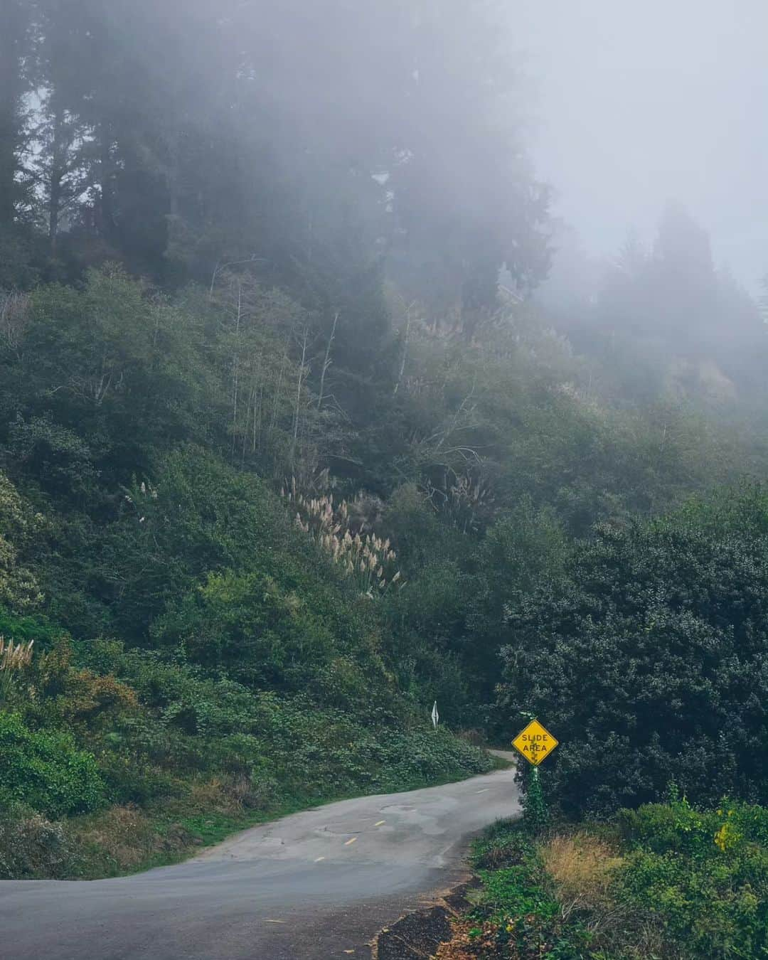 Monika Waleckaさんのインスタグラム写真 - (Monika WaleckaInstagram)「Mgliste obrazki... czyli czemu tu ciągle wracamy i czemu zawsze zostajemy dłużej..  #lostcoasttrail #humboldt」10月12日 14時36分 - monika__walecka