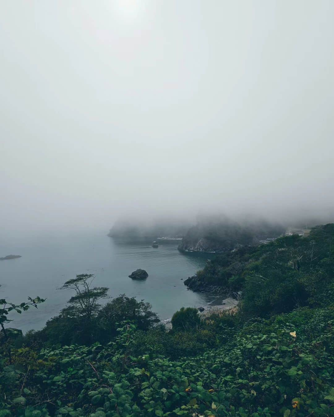 Monika Waleckaさんのインスタグラム写真 - (Monika WaleckaInstagram)「Mgliste obrazki... czyli czemu tu ciągle wracamy i czemu zawsze zostajemy dłużej..  #lostcoasttrail #humboldt」10月12日 14時36分 - monika__walecka