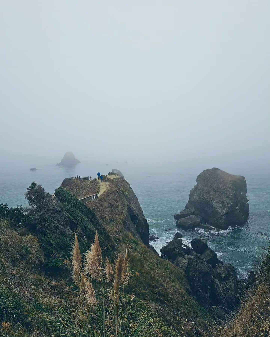 Monika Waleckaさんのインスタグラム写真 - (Monika WaleckaInstagram)「Mgliste obrazki... czyli czemu tu ciągle wracamy i czemu zawsze zostajemy dłużej..  #lostcoasttrail #humboldt」10月12日 14時36分 - monika__walecka