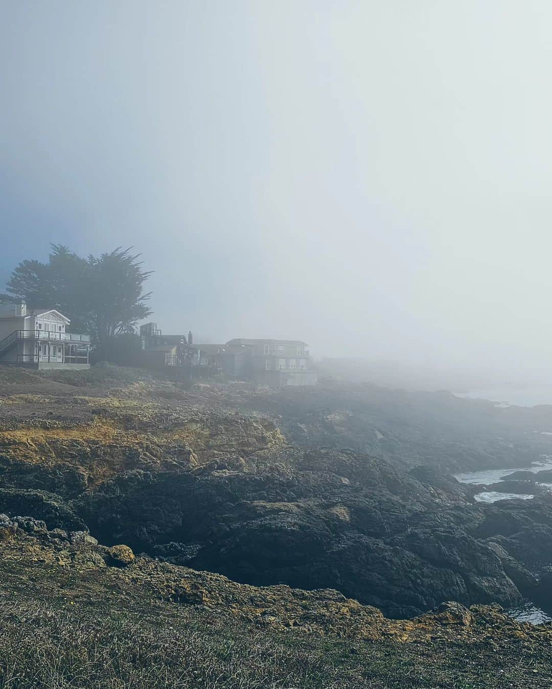 Monika Waleckaのインスタグラム：「Mgliste obrazki... czyli czemu tu ciągle wracamy i czemu zawsze zostajemy dłużej..  #lostcoasttrail #humboldt」