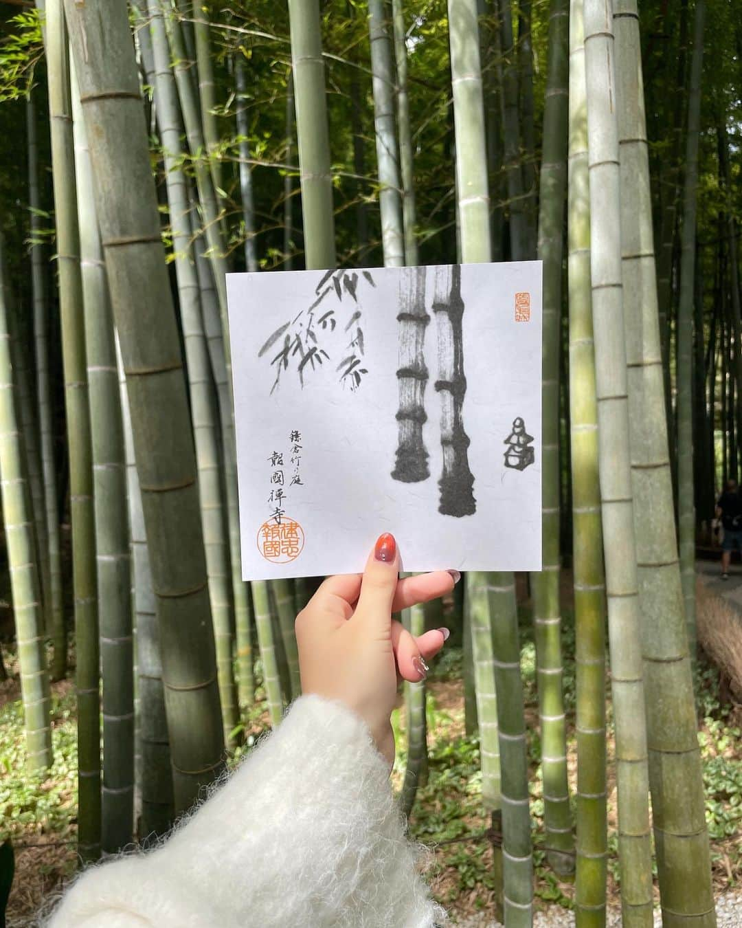 橋本紗奈さんのインスタグラム写真 - (橋本紗奈Instagram)「Bamboo🎋  tops @wclosetwearsinc  skirt @gu_for_all_  bag @uniqlo_jp  sneaker @nike   #japan #japantravel #japantrip #japanlife #japanlife #japanfood #japanphoto #kamakura #asiagirl #asiatravel #kamakurajapan #bamboo #鎌倉 #報国寺 #モデル #撮影モデル #ヘアカラー #ootd」10月12日 20時13分 - hashimoto_sana