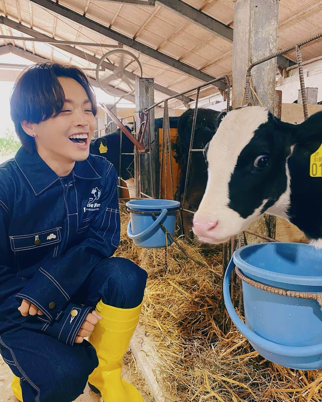 佐藤広大さんのインスタグラム写真 - (佐藤広大Instagram)「うっしっし😝🐮🥯🩶  #北海道観光大使 #丑年 #中標津 #looprise #LOOP」10月12日 15時13分 - satokodai601113