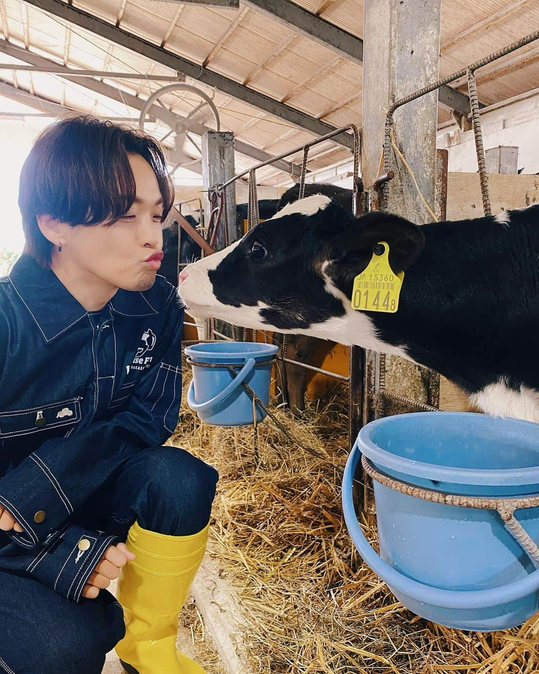 佐藤広大さんのインスタグラム写真 - (佐藤広大Instagram)「うっしっし😝🐮🥯🩶  #北海道観光大使 #丑年 #中標津 #looprise #LOOP」10月12日 15時13分 - satokodai601113