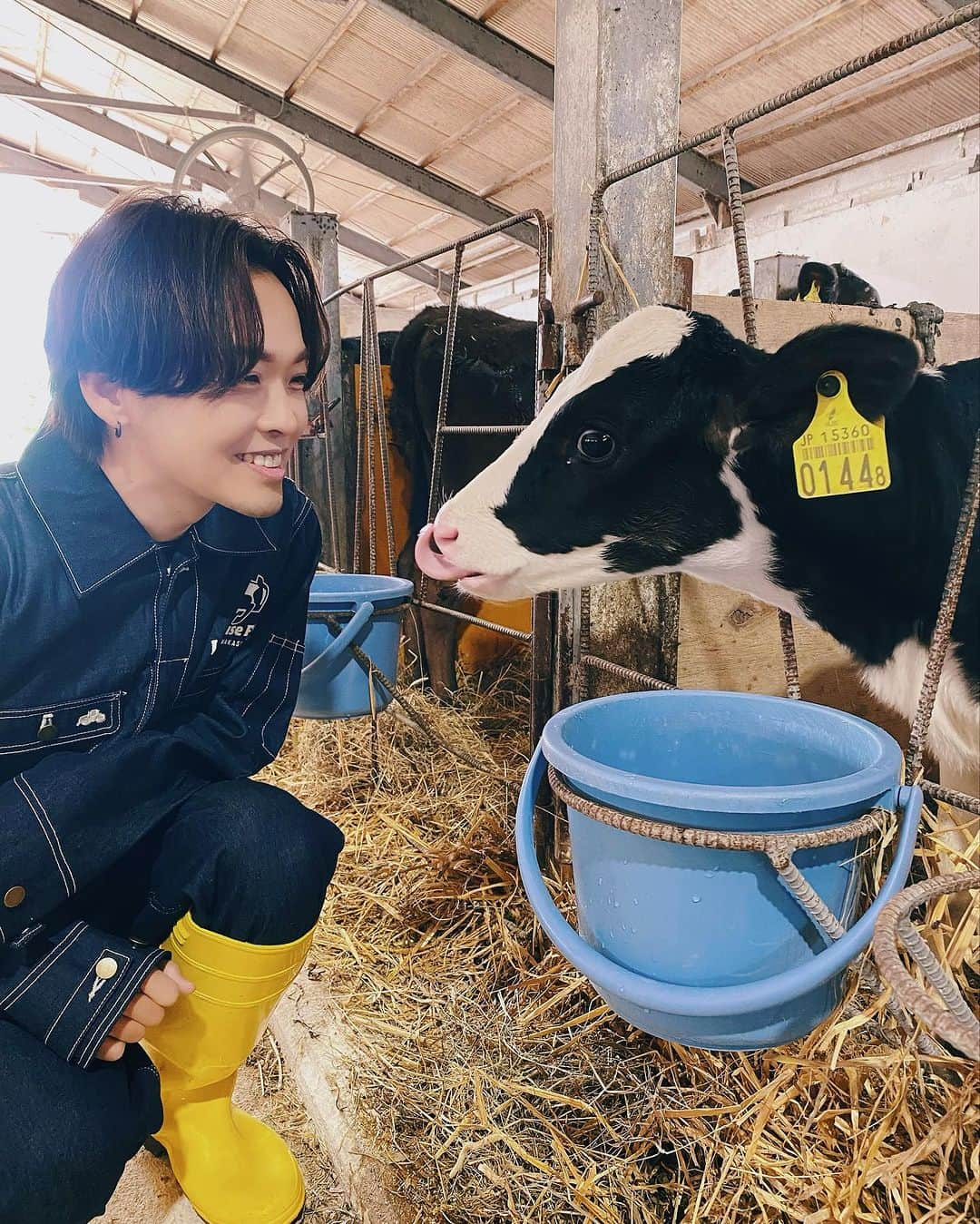 佐藤広大さんのインスタグラム写真 - (佐藤広大Instagram)「うっしっし😝🐮🥯🩶  #北海道観光大使 #丑年 #中標津 #looprise #LOOP」10月12日 15時13分 - satokodai601113