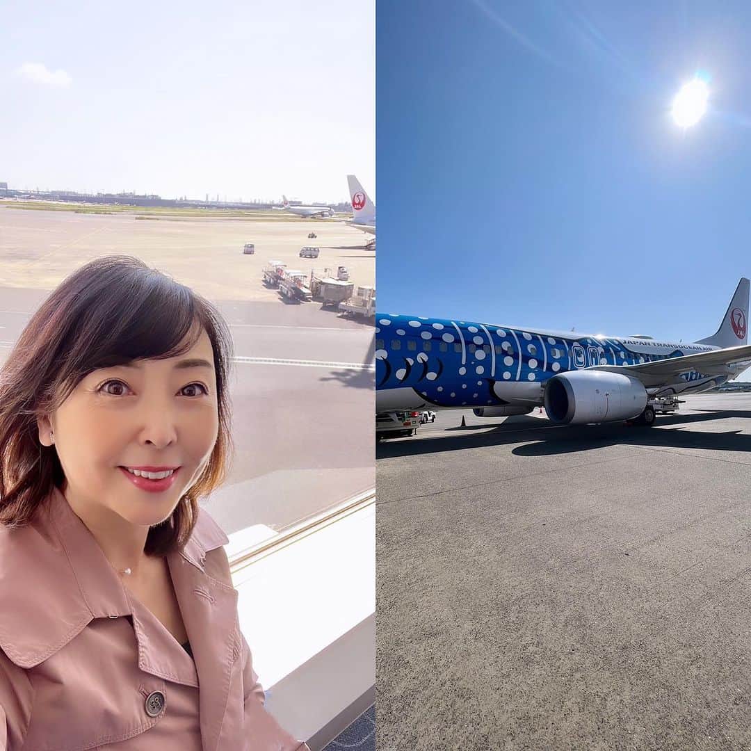 牛窪万里子さんのインスタグラム写真 - (牛窪万里子Instagram)「今日は金沢へ講演ため出張です。久しぶりの金沢。観光の時間もあるので、楽しみです！JAL 「沖縄美ら海水族館」とのコラボレーション「ジンベエジェット」で出発！  #金沢 #出張 #jal #ジンベイジェット #講演 @japanairlines_jal」10月12日 15時29分 - mariko_ushikubo