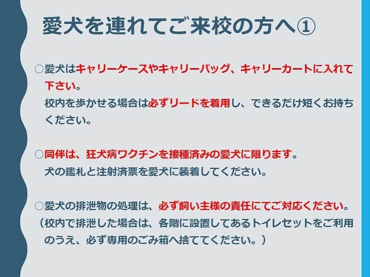 大阪ECO動物海洋専門学校のインスタグラム