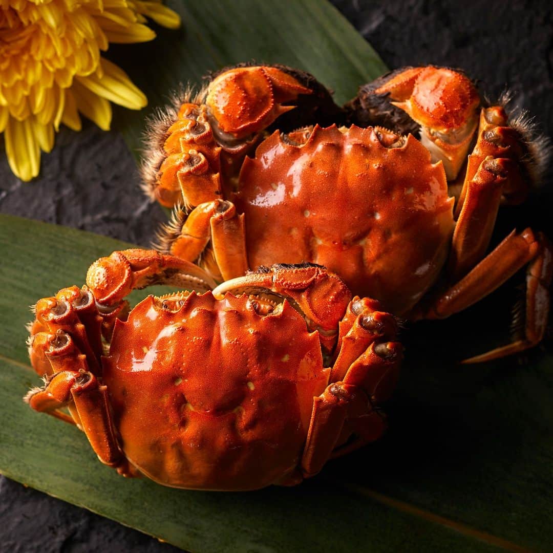 ホテルニューオータニ博多さんのインスタグラム写真 - (ホテルニューオータニ博多Instagram)「【10/13～秋の味覚「上海蟹フェア」開催📣👀】  上海蟹の季節🦀 中国料理「大観苑」では、濃厚な蟹味噌を楽しめるメスを10月、しっとりとした食感と甘みが特徴のオスを11月とそれぞれの旬に合わせてお楽しみいただけます。  王道の“丸ごと姿蒸し”は、上海蟹の最も一般的な調理法でありながら、身や味噌に詰まっている旨みが凝縮することで、蟹本来の味をご堪能ください。  例年好評の「上海蟹入りふかひれあんかけチャーハン」は今回より単品メニューで登場。繊維の間に味がしっかりと染み込んだぷりぷりのふかひれと、上海蟹の甘さが絶妙に絡み合った一品です。  【期間】2023年10月13日（金）～11月末（予定） 【時間】ランチ　11:30～14:30 ／ ディナー  17:00～21:00 (L.O. 20:30) 【ご予約・お問合せ】092-715-2007（中国料理 大観苑直通）  🦀アラカルトメニュー🦀 ・活上海蟹の姿蒸し　￥6,600 ・海蟹入りふかひれスープ　￥4,000 ・上海蟹入りふかひれあんかけチャーハン　￥5,500 ・徐点心師特製 上海蟹入り小籠包（2個より）　￥500 ※サービス料別になります。  #上海蟹 #上海蟹食べたい #上海蟹コース #上海蟹食べ比べ #中国料理 #中華料理 #蟹 #カニ #かに #期間限定 #天神グルメ #天神ランチ #渡辺通グルメ #渡辺通ランチ #福岡レストラン  #福岡ホテル #ホテルグルメ #hotelnewotanihakata  #newotanihakata  #ホテルニューオータニ博多 #ニューオータニ博多」10月12日 16時07分 - newotani_hakata_official