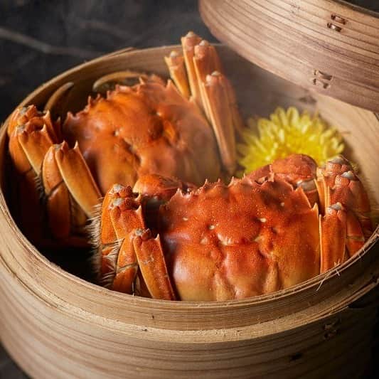 ホテルニューオータニ博多さんのインスタグラム写真 - (ホテルニューオータニ博多Instagram)「【10/13～秋の味覚「上海蟹フェア」開催📣👀】  上海蟹の季節🦀 中国料理「大観苑」では、濃厚な蟹味噌を楽しめるメスを10月、しっとりとした食感と甘みが特徴のオスを11月とそれぞれの旬に合わせてお楽しみいただけます。  王道の“丸ごと姿蒸し”は、上海蟹の最も一般的な調理法でありながら、身や味噌に詰まっている旨みが凝縮することで、蟹本来の味をご堪能ください。  例年好評の「上海蟹入りふかひれあんかけチャーハン」は今回より単品メニューで登場。繊維の間に味がしっかりと染み込んだぷりぷりのふかひれと、上海蟹の甘さが絶妙に絡み合った一品です。  【期間】2023年10月13日（金）～11月末（予定） 【時間】ランチ　11:30～14:30 ／ ディナー  17:00～21:00 (L.O. 20:30) 【ご予約・お問合せ】092-715-2007（中国料理 大観苑直通）  🦀アラカルトメニュー🦀 ・活上海蟹の姿蒸し　￥6,600 ・海蟹入りふかひれスープ　￥4,000 ・上海蟹入りふかひれあんかけチャーハン　￥5,500 ・徐点心師特製 上海蟹入り小籠包（2個より）　￥500 ※サービス料別になります。  #上海蟹 #上海蟹食べたい #上海蟹コース #上海蟹食べ比べ #中国料理 #中華料理 #蟹 #カニ #かに #期間限定 #天神グルメ #天神ランチ #渡辺通グルメ #渡辺通ランチ #福岡レストラン  #福岡ホテル #ホテルグルメ #hotelnewotanihakata  #newotanihakata  #ホテルニューオータニ博多 #ニューオータニ博多」10月12日 16時07分 - newotani_hakata_official