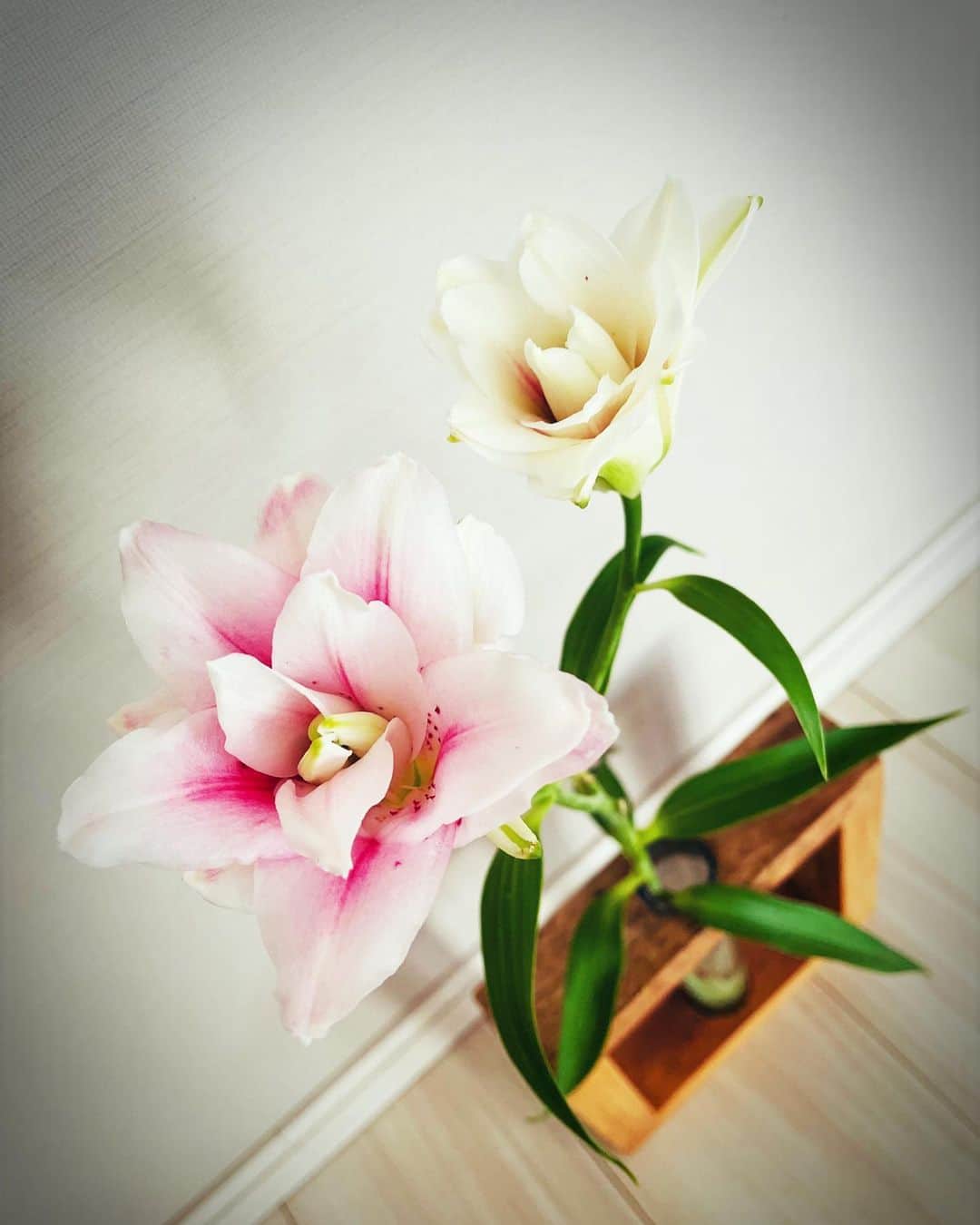 滝沢沙織のインスタグラム：「こんにちは😊 お家で飾っている一輪挿し✨ 最近買ってきたユリの花が咲いて嬉しくなりました💕 とても綺麗で香りも良くて癒されるなぁ🥰 #滝沢沙織 #一輪挿し #秋百合 #ユリの花 #良い香り #癒し #とても美しい」