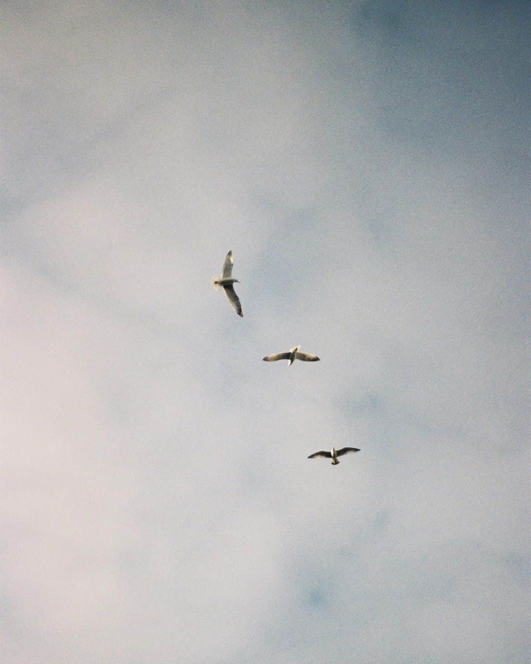 クロウド・モーガンさんのインスタグラム写真 - (クロウド・モーガンInstagram)「Paris, nikonF3」10月12日 16時04分 - claude0417