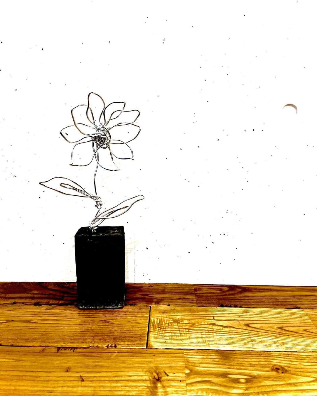 千原ジュニアさんのインスタグラム写真 - (千原ジュニアInstagram)「セロファンテープと花。  #針金 #monkeywrenchdog」10月12日 17時40分 - chihara_jr