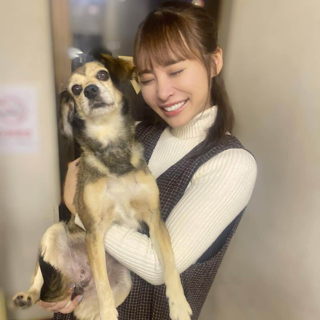 比留川マイさんのインスタグラム写真 - (比留川マイInstagram)「Stac役、座長のメープルちゃん！ 本当にお利口さんで可愛くて、毎日の癒しでした♡ メープルちゃん達が所属されているわんわん大サーカス @wanwancircus さんは静岡を拠点に活躍されているそうです！また会いに行きたいなぁ🐶🤍 . そしてお写真を撮って頂いた皆様！ありがとうございます🐾全員と撮れなかったのが悔やまれる、、キャストの皆様も本当に温かくて優しくて楽しい方々ばかりでした！またお会いできます様に、、♡ . . #Stac #築地ブディストホール」10月12日 17時41分 - maichan_1003