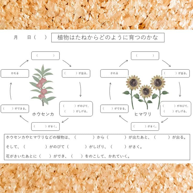 授業準備ならフォレスタネットのインスタグラム