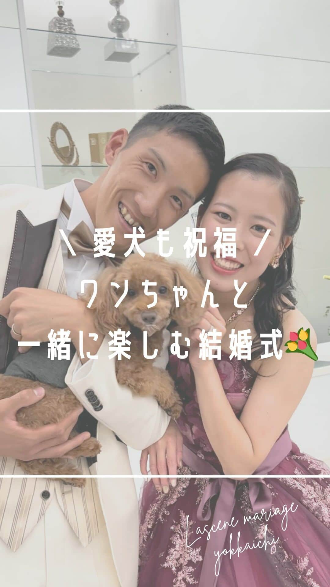 ラ セーヌ マリアージュ四日市のインスタグラム：「わんわんウェディング🐾  10月ご結婚式の新郎新婦様💭 おふたりの持ち前の明るさと心遣いにスタッフ一同、パワーをいただいておりました✨ ご結婚誠におめでとうございます！！！  本日は 大切なゲスト様と、愛犬と過ごす ほっこり心温まるウェディングの様子を30秒でお届け🐶🤍  ________________________________________  当館では、ワンちゃんとのご結婚式も大歓迎！！！  思い出に残る結婚式にするために、大切な家族の一員である愛犬にも参列してほしいと考えている人も多いのではないでしょうか❔  □ワンちゃんとのお写真撮影 □チャペルでのリングドッグ etc…  お気軽に担当プランナーへご相談下さいませ🌼  _________________________________________  #ペット婚  #ペットウェディング  #愛犬と結婚式   #前撮りポーズ #前撮り撮影   #ラセーヌマリアージュ四日市 #マリアージュウェディング   #三重平安閣 #三重平安閣グループ #平安閣#披露宴#結婚式 #チャペル#ウエディングドレス #2023秋婚#2023冬婚 #2024春婚#2024夏婚#2024秋婚 #ブライダルフェア #海外wedding #フォト婚#ウエディングフォト#東海プレ花嫁 #プレ花嫁#四日市結婚式場#四日市結婚式場ならマリアージュ#四日市ペット婚  #四日市フォトウェディング#四日市フォトスタジオ」