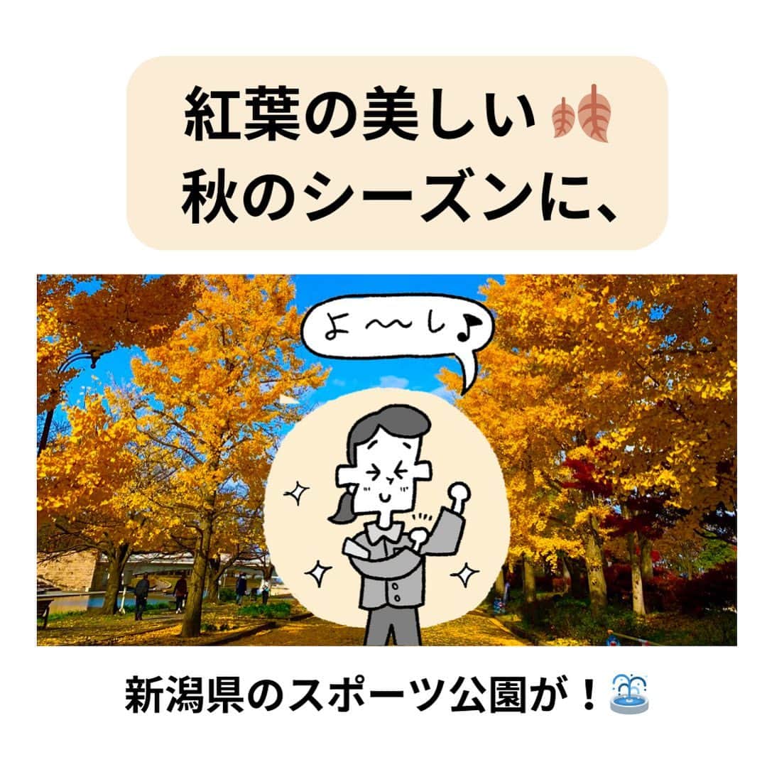 中山少年のインスタグラム：「【紅葉の美しい季節の発見💡🍂】 ． ． 紅葉の美しい季節に新潟のスポーツ公園さんでの「ほのぼの発見」を漫画にしてみました！😊🙆‍♂️🍀✨（紅葉の季節が待ち遠しいですね♪） ． ． みなさんも日常生活で『嬉しい出来事や発見』があったら、ぜひ教えて下さいな💡✉️（お便り全て見させて頂いてます🙏🌻）新潟スポーツ公園さんありがとうございました🍂 ． ． #漫画 #紅葉 #秋 #ありがとう #嬉しい #優しい #ハート #fff #日常 #ff #like4likes #仕事 #新潟スポーツ公園 #followｍe #フォロー #follow #ilker #癒し #ほっこり #instagood #中山少年 🦔📖」
