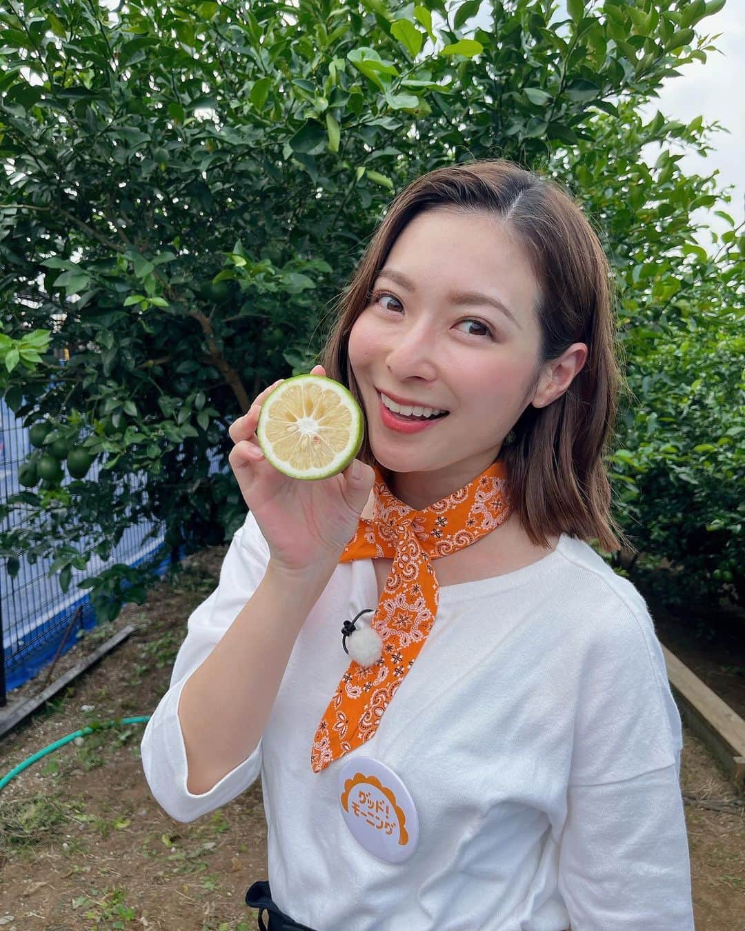 住田紗里さんのインスタグラム写真 - (住田紗里Instagram)「新松戸レモン🍋 取材させていただきました。 収穫したレモンなどを調理してもらい、たくさんの料理をいただきました🤤 どれも本当に美味しくて、完食！  #新松戸レモン#🍋#レモン#マイヤーレモン #レモンケーキ」10月12日 18時12分 - sarisumita_ex