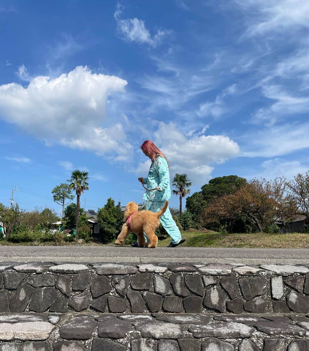 みそさんのインスタグラム写真 - (みそInstagram)「静香とお散歩😘  祭りに向けて @moriyoshi0118 に髪ピンクにしてもらった！！」10月12日 18時22分 - j__ms_99