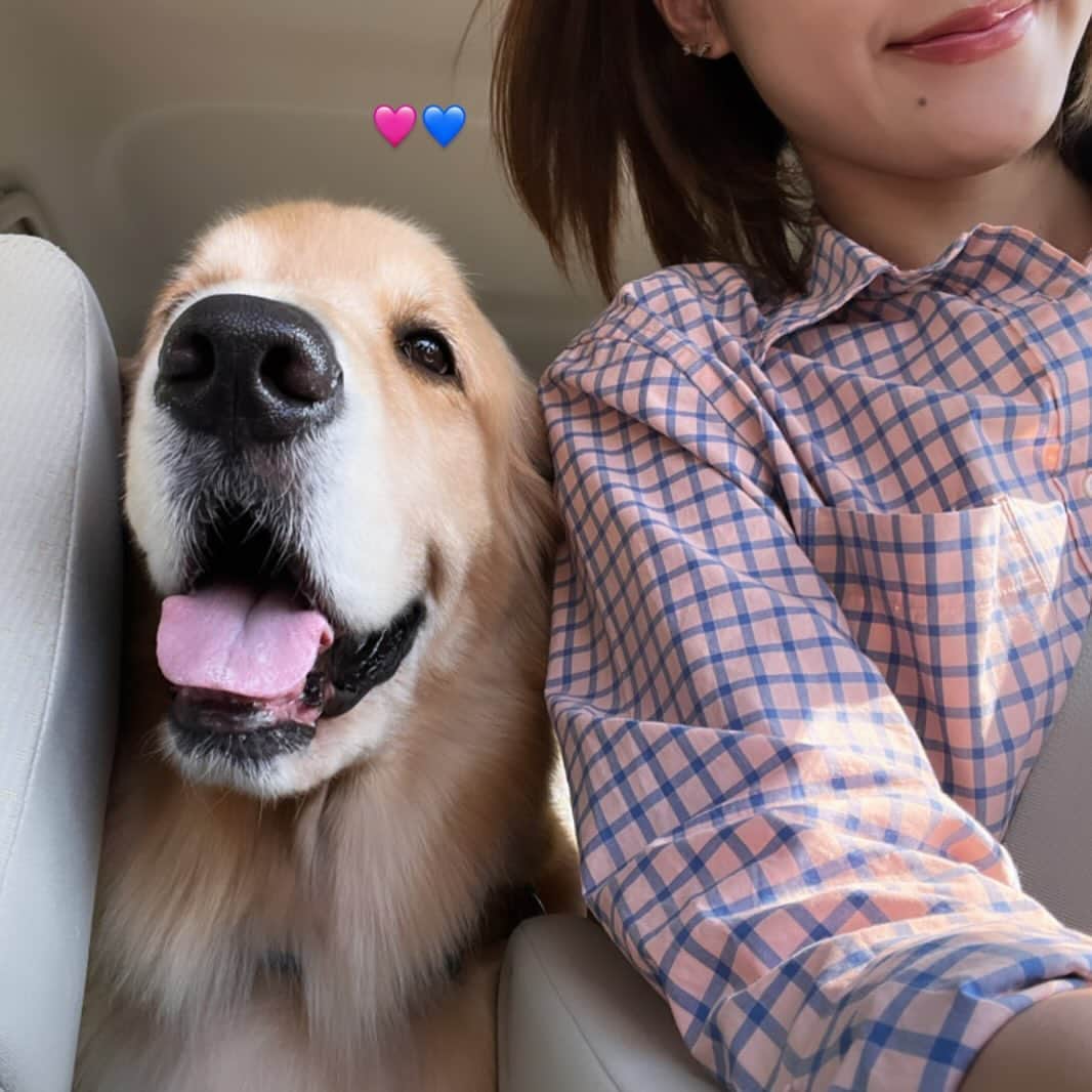 のインスタグラム：「2人でデート🦮☺️🩷🚘」