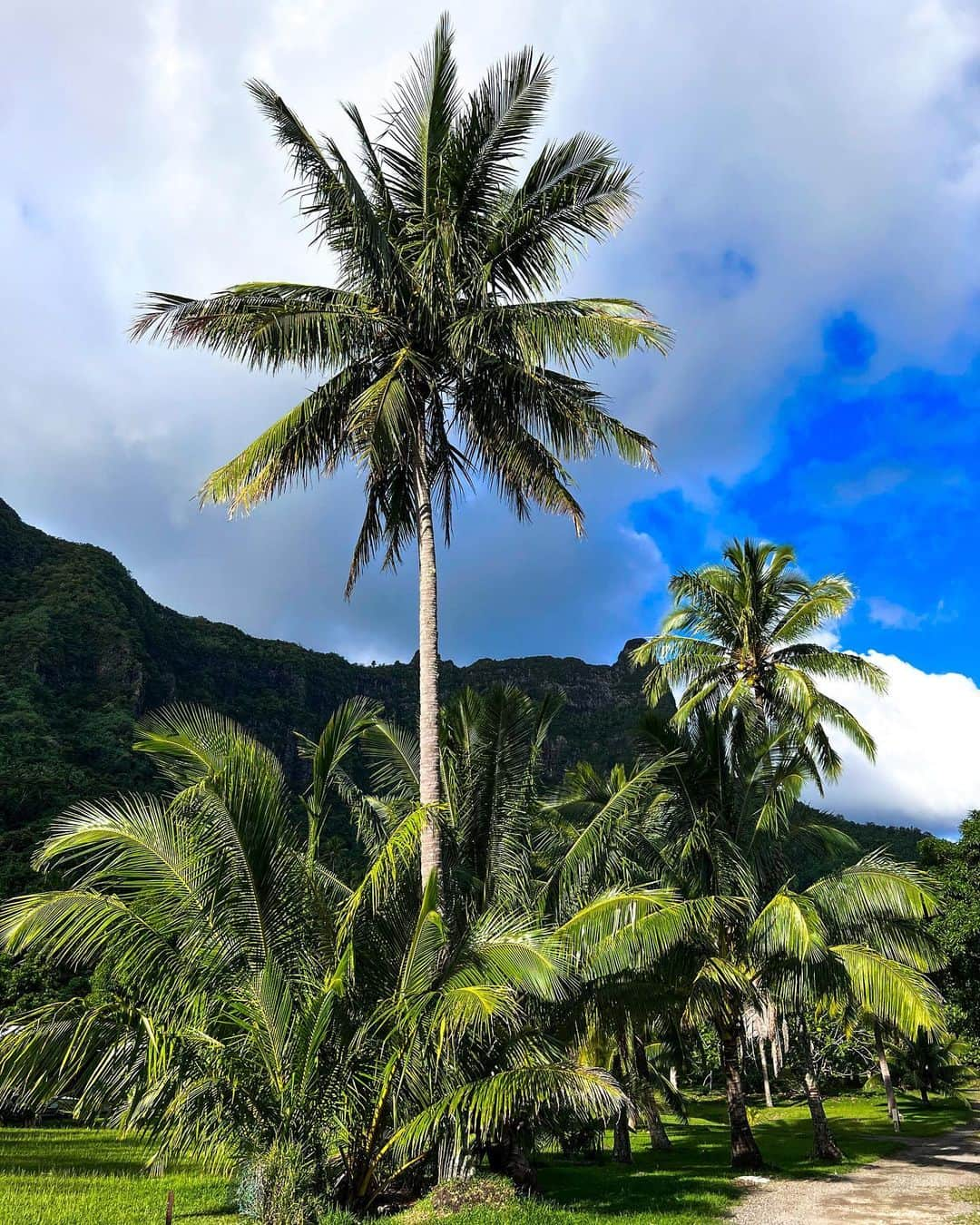 マリア・マニュエルさんのインスタグラム写真 - (マリア・マニュエルInstagram)「tahiti 🖤」10月13日 4時33分 - maliamanuel