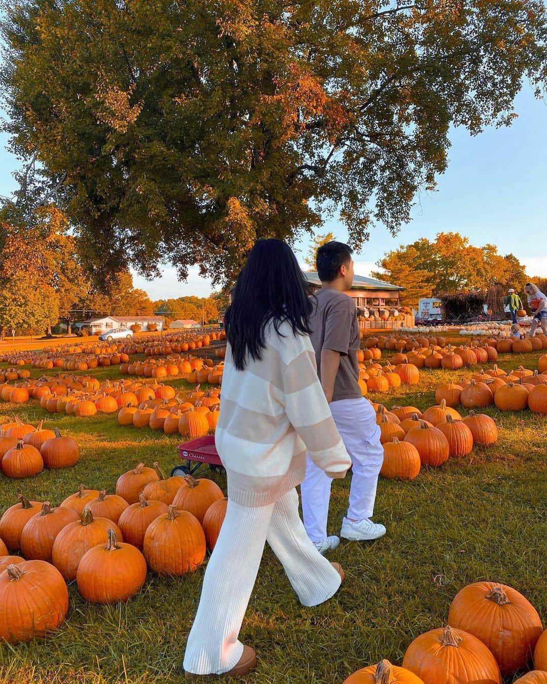 Hollister Co.さんのインスタグラム写真 - (Hollister Co.Instagram)「cutest pumpkin in the patch 🎃 @angelinakhang」10月13日 5時00分 - hollister