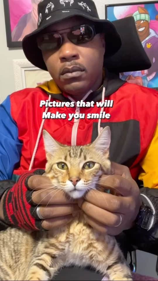 MSHO™(The Cat Rapper) のインスタグラム：「Hope everyone is having a wonderful day, remember to never stop going. Never give up on YOU. Thanks for loving your cats. Let us know if it worked. ❤️ #TheCatRapper #CatMan #CatMom #CatDad #Positivity #MoGang」