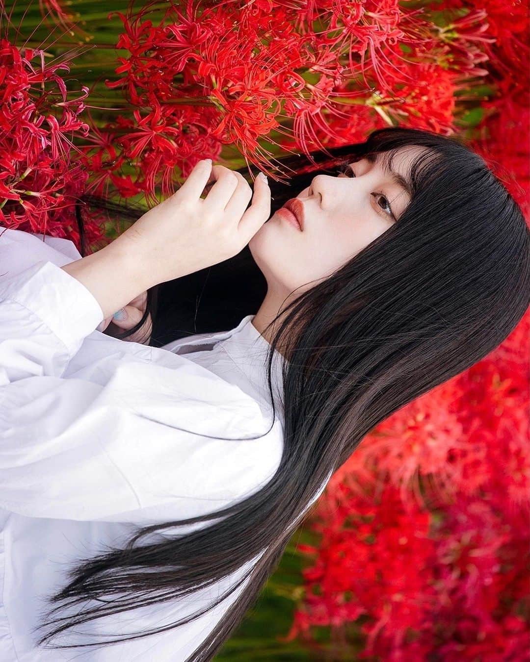 柚木ふゆさんのインスタグラム写真 - (柚木ふゆInstagram)「・ ・ ・ 朱色 ・ ・ ・ photo by Akihiroさん ・ ・ ・ ・ ・ ・ ・ ・ ・ ・ ・ ・  #instaphoto #portrait #portraitphotography #photo #photography #model #film #camera #japan #japanesegirl #girl #ポートレート #秋服コーデ #秋服 #ホワイトコーデ #淡色女子 #白コーデ #サロモ #ワンピース #サロンモデル #カメラ女子 #彼岸花 #彼岸花ポートレート #白ワンピ #韓国メイク #makeup #人像攝影 #人物攝影 #模特 #攝影」10月12日 20時30分 - fuyu_yuzuki