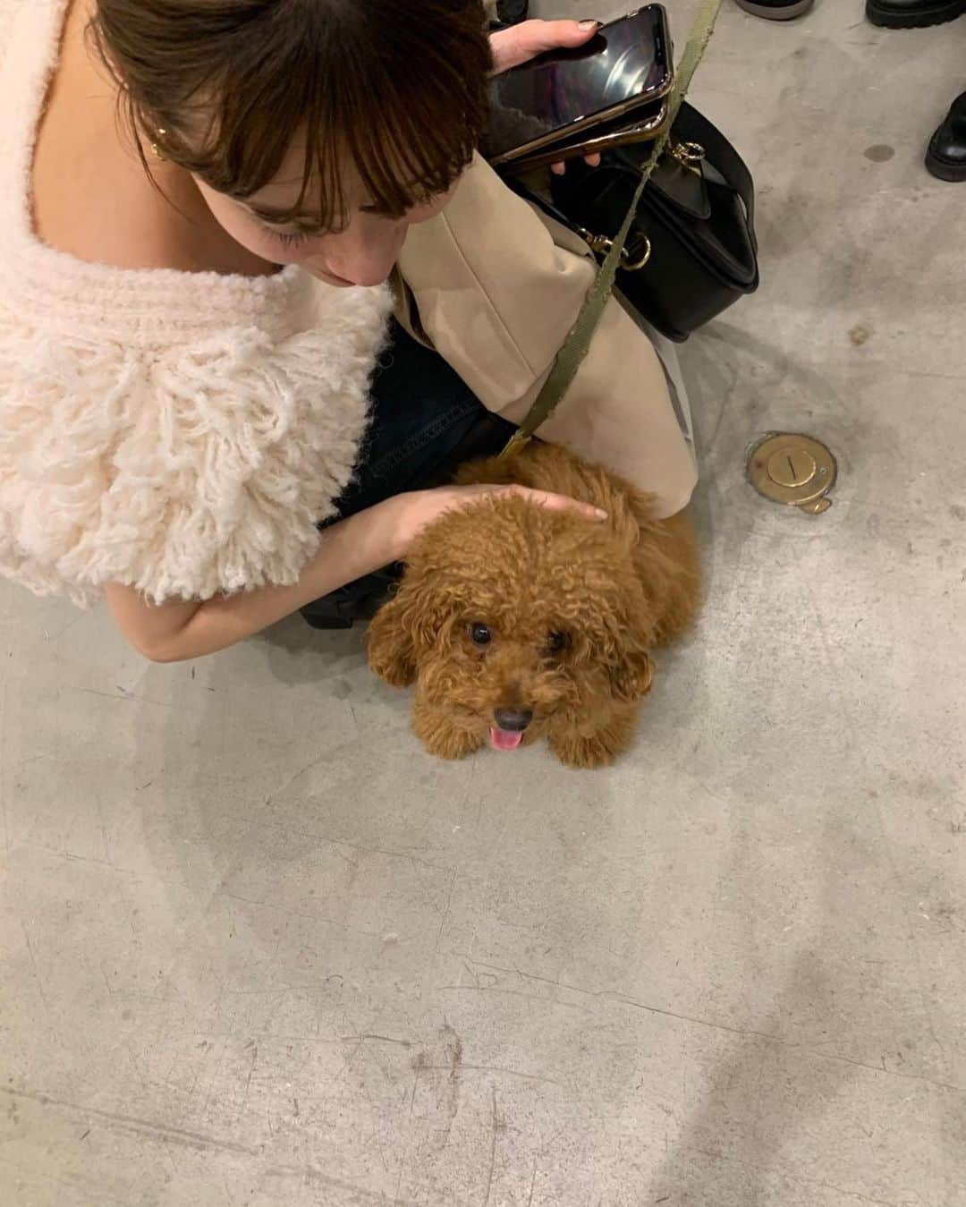 前坂美結さんのインスタグラム写真 - (前坂美結Instagram)「今日のコーデ💚　  . 秋晴れで、まさに今日みたいな日に絶対着たかった ニットベスト☁️♡ もっこもっこで気持ちよくて可愛い🤲　  . パンツとブーツは少し前に買ったやつ♡   tops @null._official_  pants @shopredone  boots @pellico_japan   . 今日本当に気持ちよかったな〜😮‍💨🍂　 展示会巡りの日でした！ ストーリーも沢山アップするから(おなじみの)見てね♡ .  #今日のコーデ　 #最後の写真可愛すぎるから見て 🐶」10月12日 20時45分 - miyumaesaka