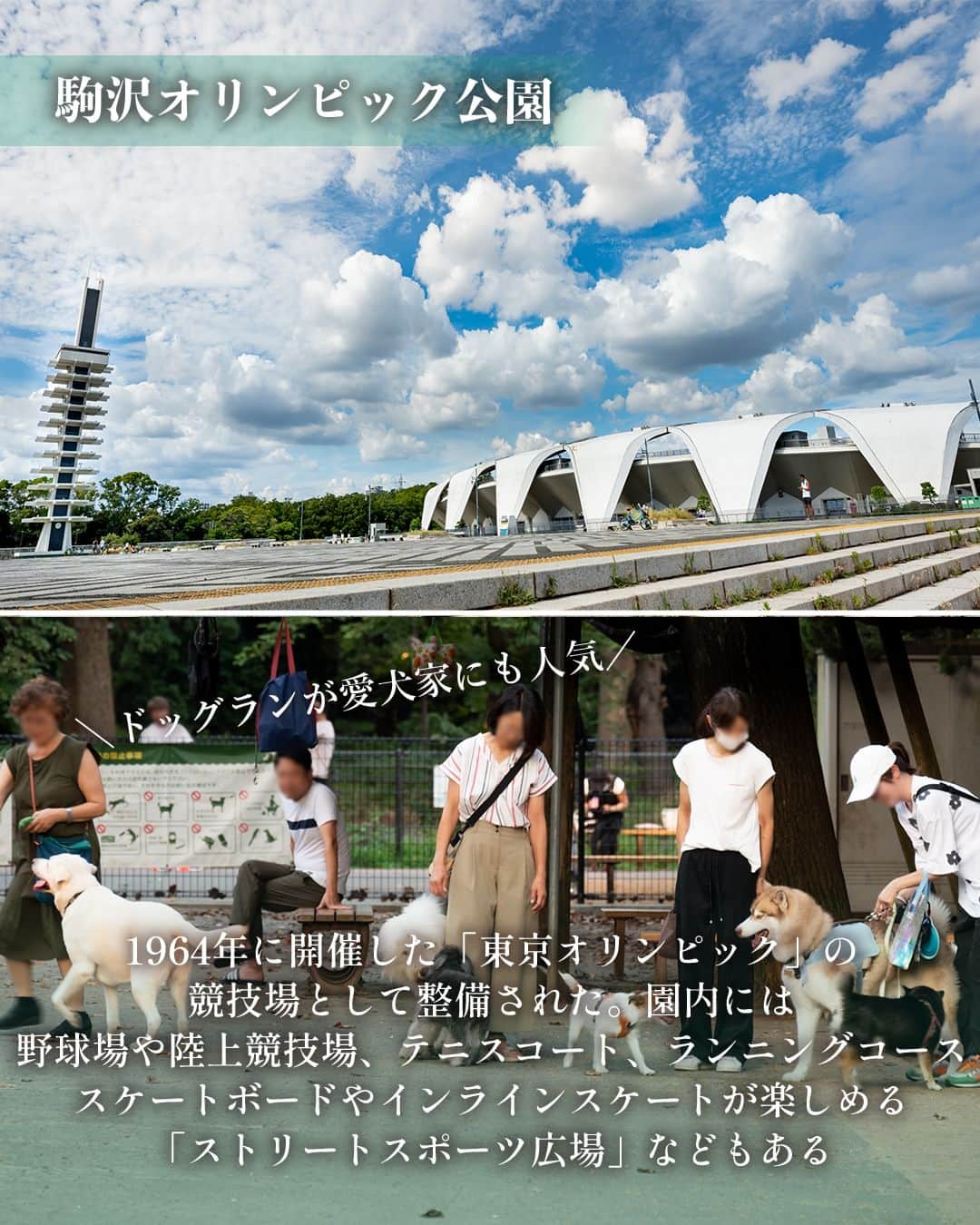東京カレンダーさんのインスタグラム写真 - (東京カレンダーInstagram)「今回取り上げる「駒沢」は、東急田園都市線で渋谷から3駅、約10分の駒沢大学駅を中心にしたエリア。  「駒沢オリンピック公園」と「駒澤大学」を囲むように、閑静な住宅街が広がる。  多くの人が住みたいと憧れる、緑豊かな「駒沢」エリアの魅力に迫る！  📌舞台となったお店をピックアップ  【bistro-confl.】 世田谷区上馬4-3-15 1F  【焼鳥 せきや】 世田谷区駒沢1-4-10 佐伯ビル 1F  ▷ 投稿が気になったら【保存】をタップ👆 ▷ 予約するなら【 #グルカレ レストラン名】で検索🔎 …………………………………………………… ▶都会の大人向けライフスタイルを毎日発信中 @tokyocalendar  #東京カレンダー #Tokyocalendar #東カレ #東京グルメ #東京デート #東京ディナー #デート #駒澤 #駒沢オリンピック公園 #カレー #タイカレー #ベーカリー #ビストロ #ナチュラルワイン #カフェ #焼鳥 #タイカリーピキヌー #グルートン #glouton #ビストロコンフル #bistroconfl #PRETTYTHINGS #焼鳥せきや」10月12日 21時00分 - tokyocalendar