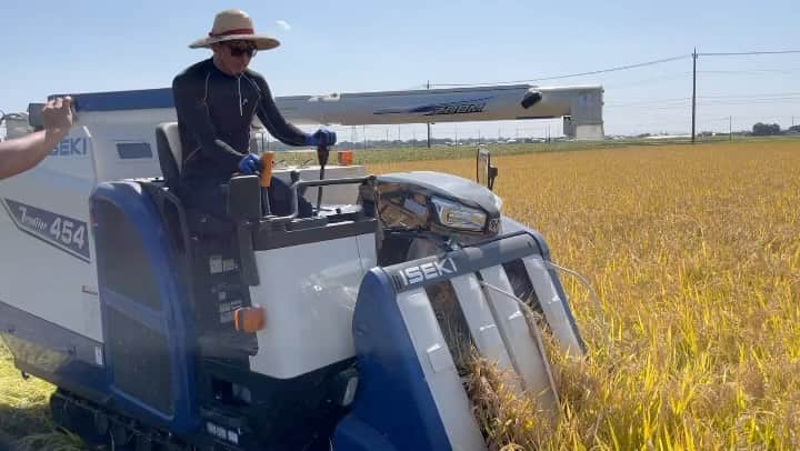 川﨑宗則のインスタグラム：「宗友に報告あります！2023むね米が🌾🌾できました！今年はめっちゃ豊作😊😊稲🌾太かー👍名渕家に協力のもと、４月に植えた稲が立派に育ち、刈ること🌾ができました！皆んなの元に届くと思います🥹🥹チェチェチェチェスト！」