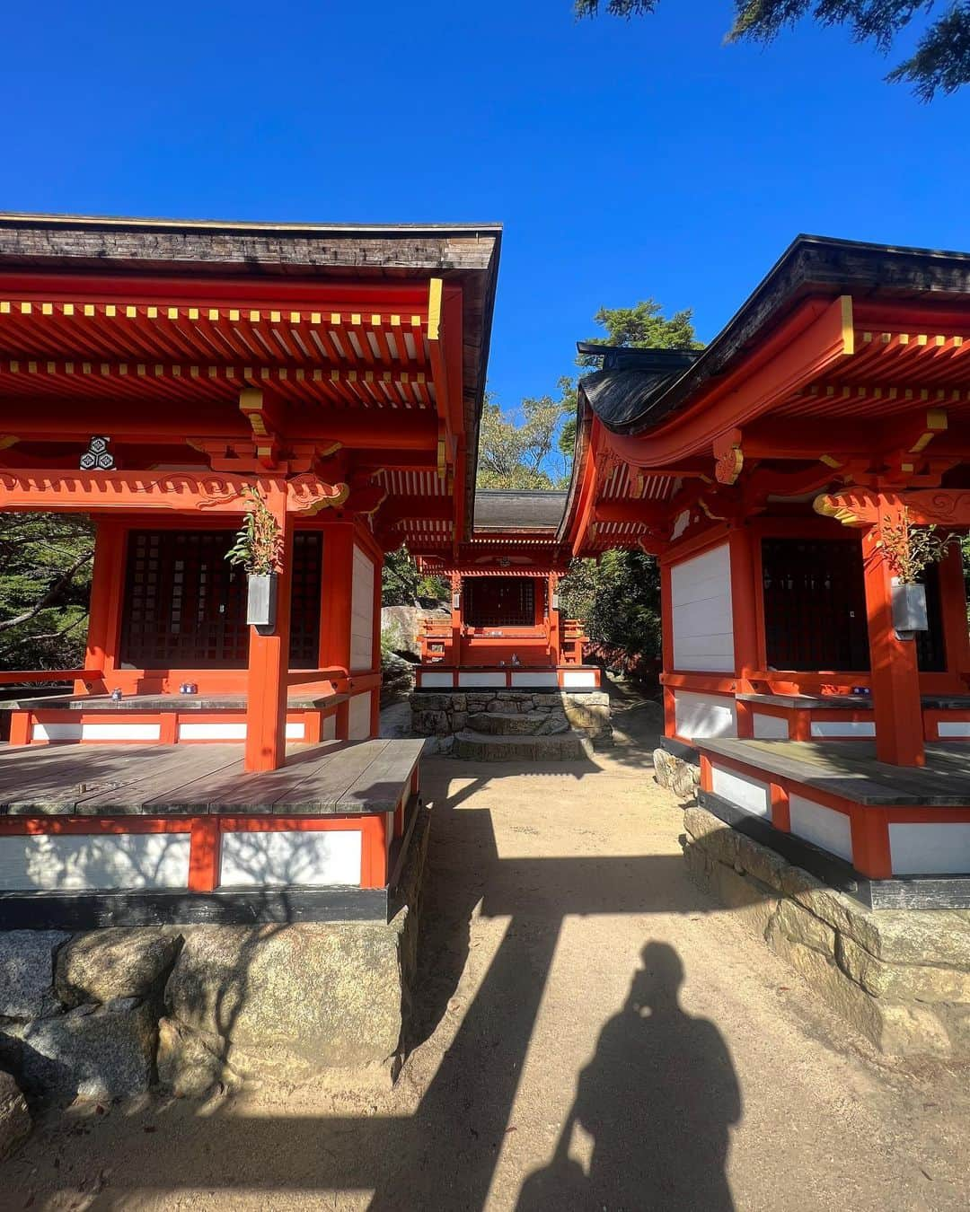 池内博之のインスタグラム：「御山神社　 厳島神社の奥宮と言われてる場所。 行く途中、黒っぽい鹿が現れた。え？ こんな場所にと思いながら歩いて行くと突如現れた。天空の神社。 #御山神社」