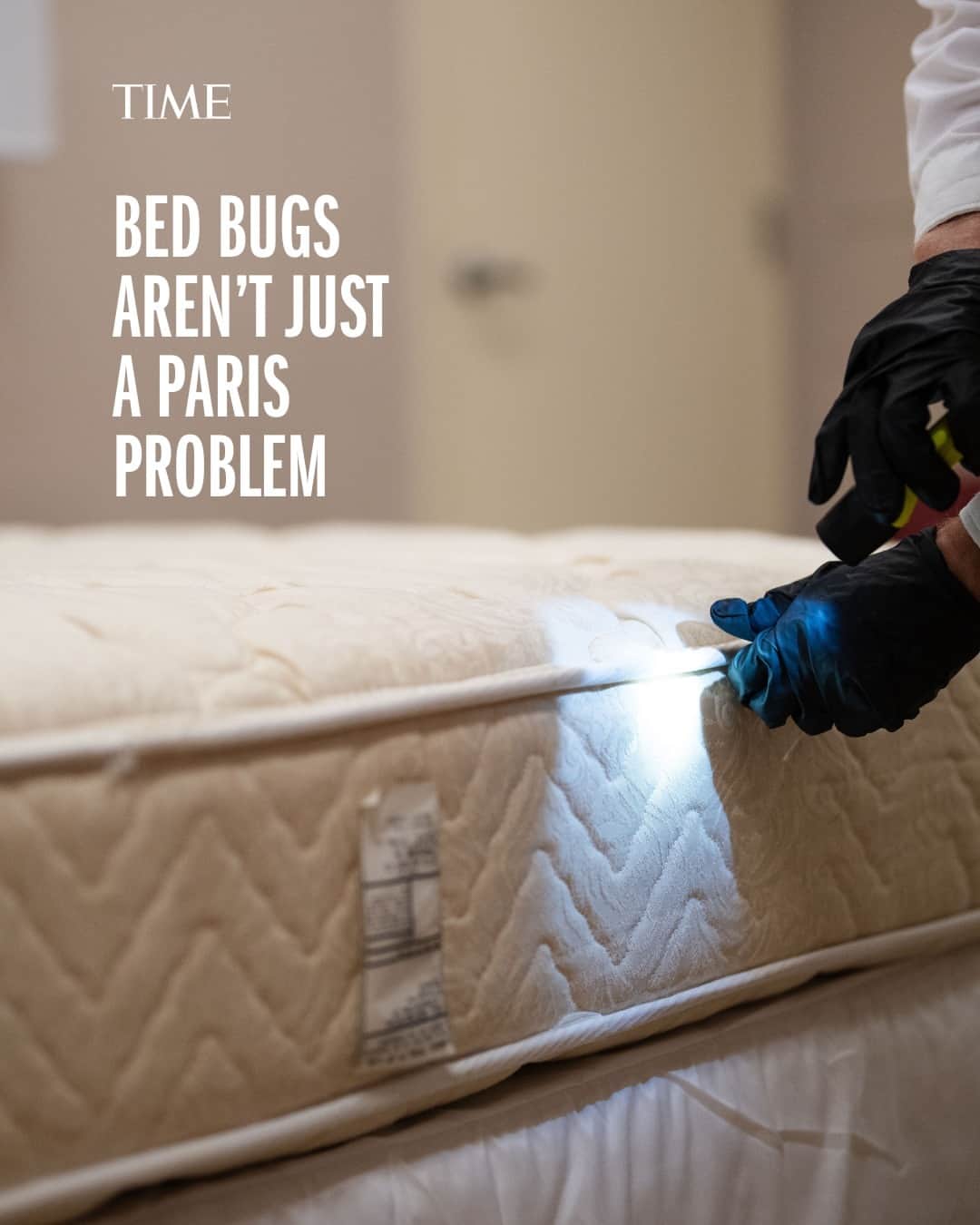 TIME Magazineのインスタグラム：「The news reports are alarming to say the least. Paris, the city known for its style, cuisine, and amour, has a bed bug problem. Video of the insects crawling over Metro seats, in hotels, and swarming buses and movie theaters swept the internet, and bed bug anxiety reached a new high.  But what’s behind the Parisian invasion? How did bed bugs launch such a widespread infestation of the city? With Paris hosting the first Olympics in the post-COVID-19 era next summer, those questions aren’t just matters for idle conversation.  At the link in bio, learn why the infestation didn’t just happen overnight—and why it's so hard to make the problem go away.  Photograph by Getty Images」