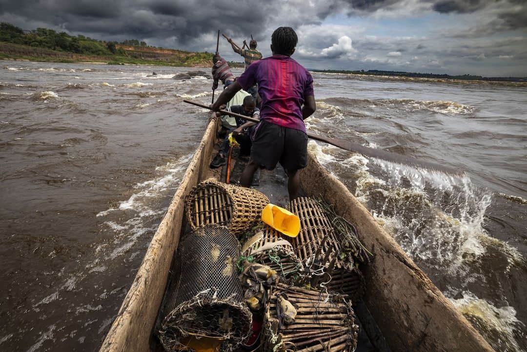 ナショナルジオグラフィックのインスタグラム：「Photo by @brentstirton | I was working with bat hunters who had just harvested bats from a nearby island and were now on their way back across the powerful, fast-flowing Congo River, in the Republic of the Congo. I needed to see the bats and the men in the same environmental frame. At the same time, I was holding onto the side of the canoe with one hand and trying to remain steady with the other, attempting to keep my gear dry. My biggest concern was being able to see the tiny but key subject matter in the middle of a chaotic scene and capture a dynamic frame. I think that kind of informational but also aesthetic thinking is at the heart of a good National Geographic photo. This story was about wild meat, its sustainability, and the consequences of hunting and eating it. It was the peak of COVID-19, and these bats were proven reservoirs for several diseases that had jumped from animals to humans through consumption. Read the full story at the link in bio.」