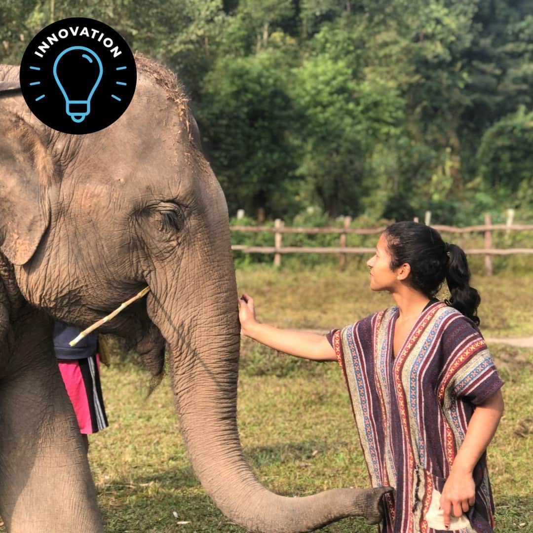 のインスタグラム：「“Innovation is everywhere in my life,” says Germara Villalongo Andino, Personal Healthcare Group Scientist.   Villalongo Andino loves that #PGInnovation enables her to not only develop product innovations, but also to foster innovative thinking in others. That’s why she founded Te Da la Mano, a mentorship and recruiting program that has evolved into P&G Aspire.  Through this program, P&G builds connections with schools in the greater Cincinnati area, creating opportunities for students to learn more about careers at P&G.   Learn more about Villalongo Andino this #HispanicHeritageMonth on our blog at the link in our bio.」