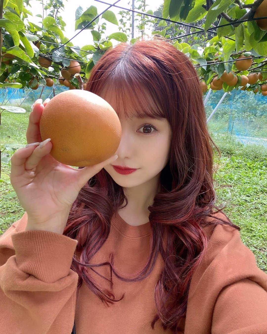 谷川愛梨のインスタグラム：「: この間、秋を感じたくて 梨狩りへ行ってきました🍐🌳💚  休日は遠出しがち〜🚗☀️  その場で剥いて食べられるんだけど めちゃくちゃ甘くて美味しかったぁ🤤🌈  そういえば 目の下のクマ取りから1ヶ月たったよ🧸🎀 メイクが時短になって嬉しい〜♡   担当🕊だいすけ先生 @tcb_dsuke  東京中央美容外科新宿西口院🌈 @tcb_shinjukunishiguchi  #東京 #新宿 #東京中央美容外科  #クマ取り #目の下のクマ取り #クマ治療」