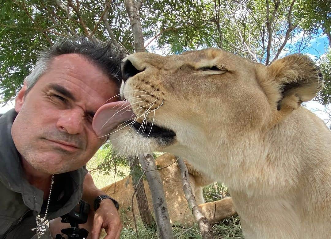 Kevin Richardson LionWhisperer さんのインスタグラム写真 - (Kevin Richardson LionWhisperer Instagram)「Trust is a belief or confidence in the reliability of something or someone. It forms the foundation of healthy relationships and interactions. It’s no different with animals. Some people just won’t understand this and that’s ok.  #trust #respect  #lion #lioness #mindfullymade #mycraghoppers  📸 1 @jackiewildphoto」10月12日 22時26分 - lionwhisperersa