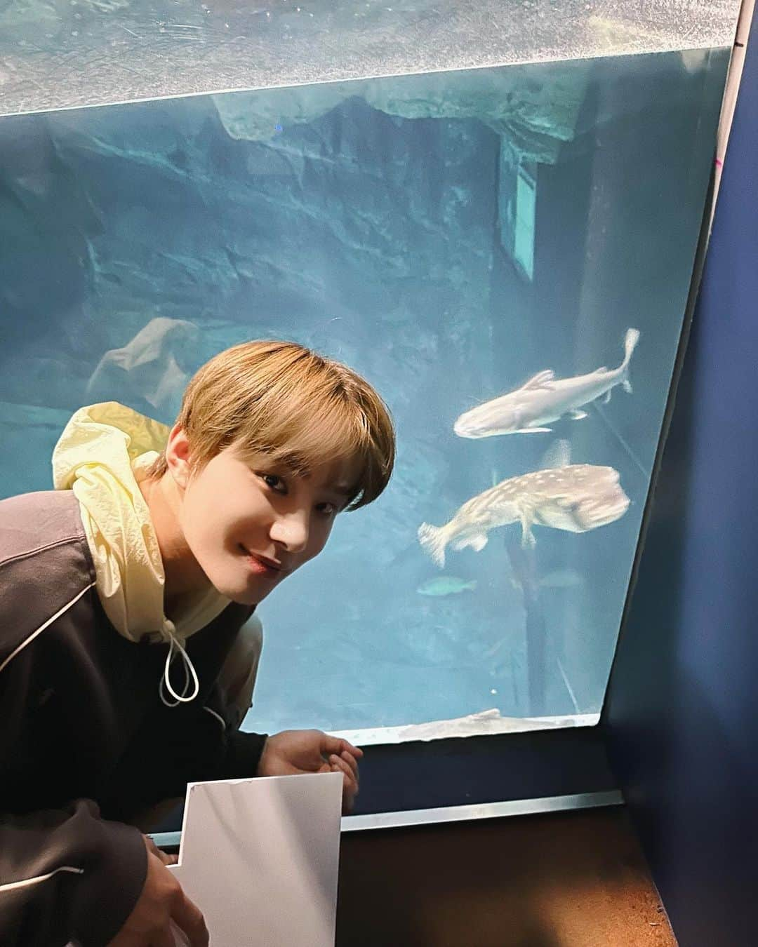 NCT 127さんのインスタグラム写真 - (NCT 127Instagram)「#JUNGWOO 🌟🐟  #NCT127 #불가사리를찾아서 #FactCheck #不可思議 #NCT127_FactCheck #NCT127_FactCheck_불가사의 #FactCheck_불가사의_不可思議」10月12日 22時40分 - nct127