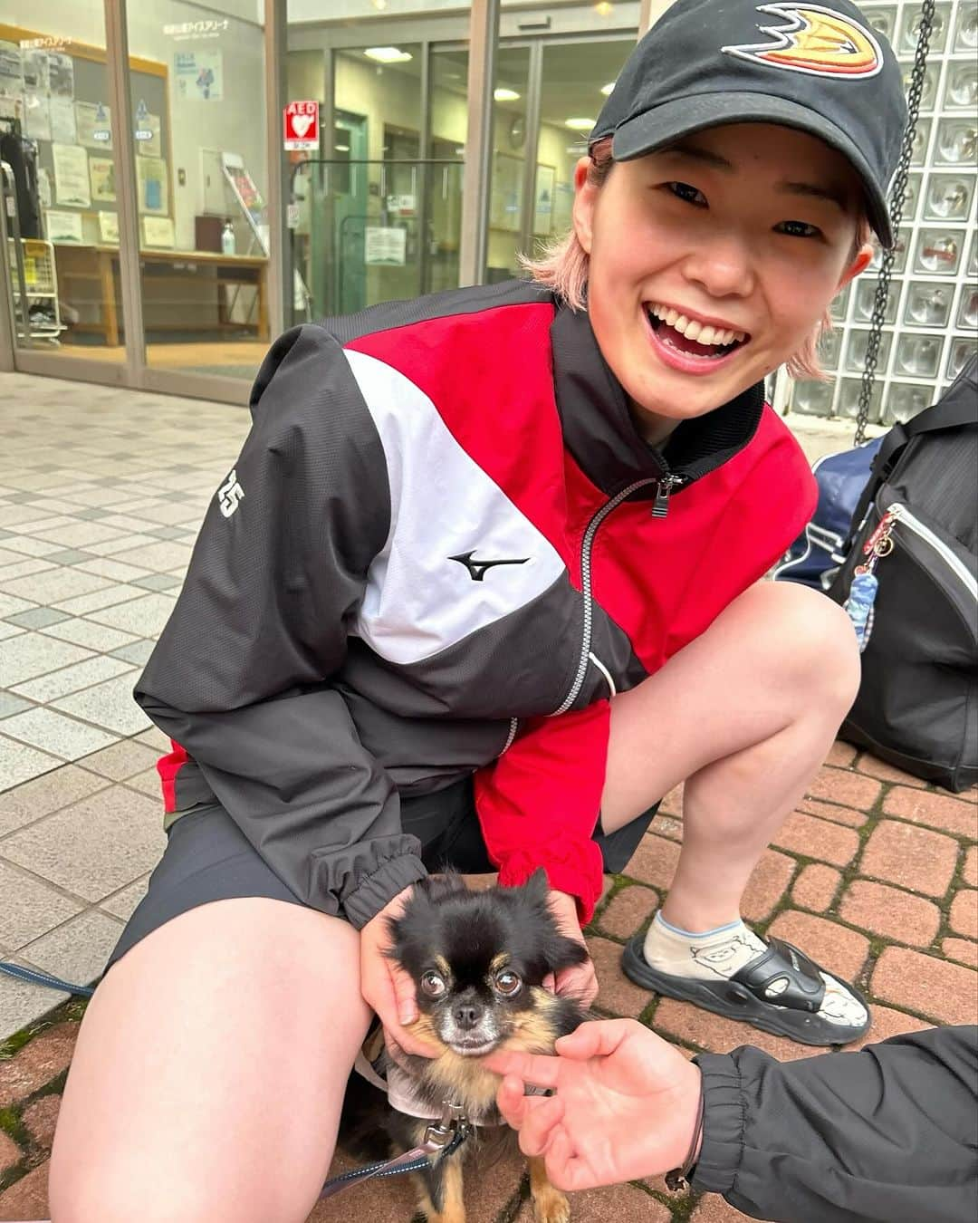 佐藤つば冴さんのインスタグラム写真 - (佐藤つば冴Instagram)「ゆったん🐕とっても癒された〜 . . #ともだち #わんこ」10月12日 22時38分 - korochan25